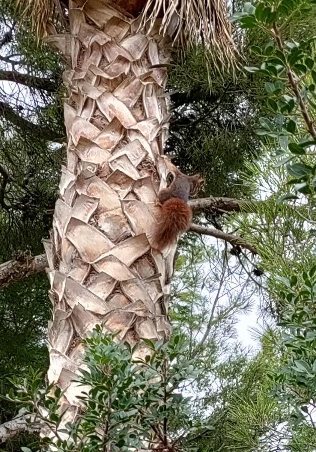 Villa Las Ardillas Κάλπε Εξωτερικό φωτογραφία